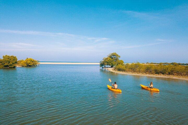 Kayaking in Kalpitiya Lagoon