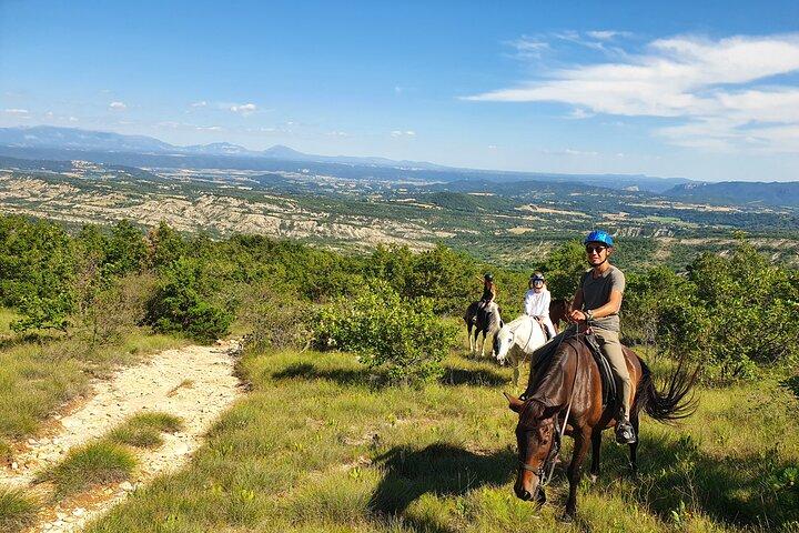 Horse ride in Haute Provence Luberon and Forcalquier