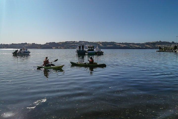 Kayaking in Chiloé Island
