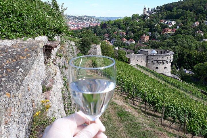 Wine rally in Würzburg with tasting