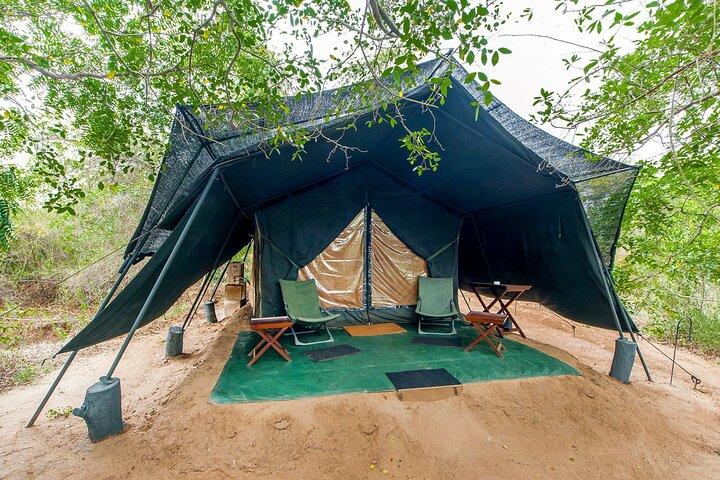 One Night Camping in Wilpattu National Park