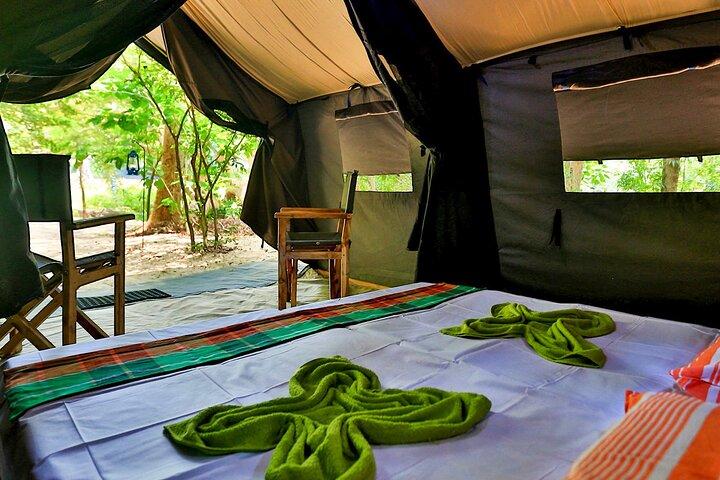 Two Night Camping in Wilpattu National Park