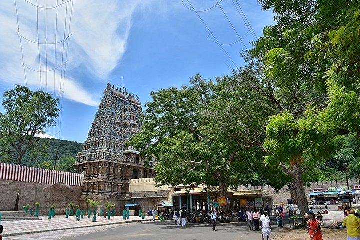 Nature & Spiritual Trails of Madurai (2 Hours Guided Walking Tour)