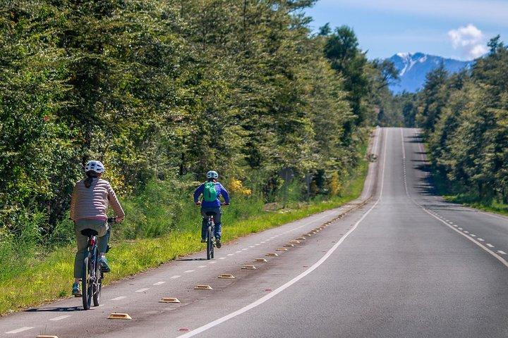 Petrohue Falls and Osorno Volcano Bike Tour