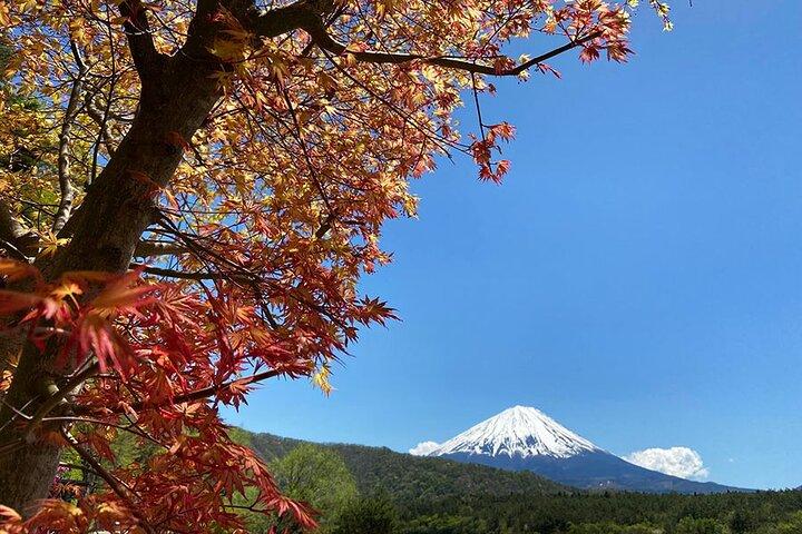 Mt Fuji Japanese Crafts Village and Lakeside Bike Tour