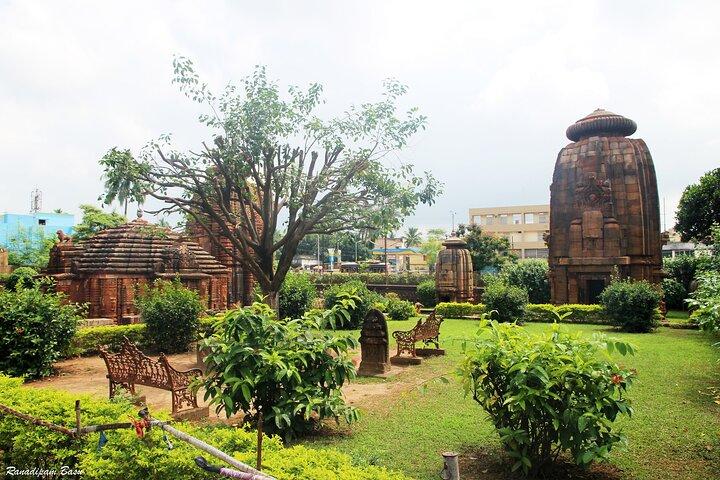 Best of Bhubaneswar (Guided Halfday Sightseeing Tour by Car)