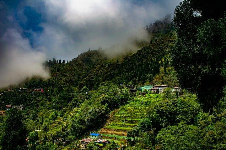 Tiger Hill Darjeeling Nature Walk (3 Hours Guided Trekking Experience)