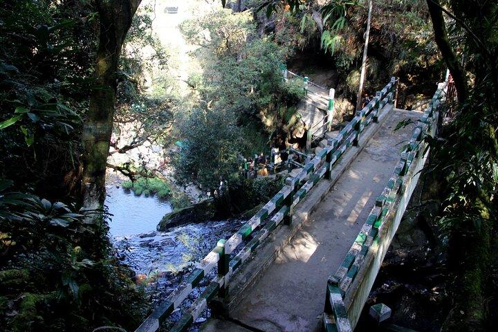 Shillong Nature Walk (3 Hours Guided Trekking Experience)