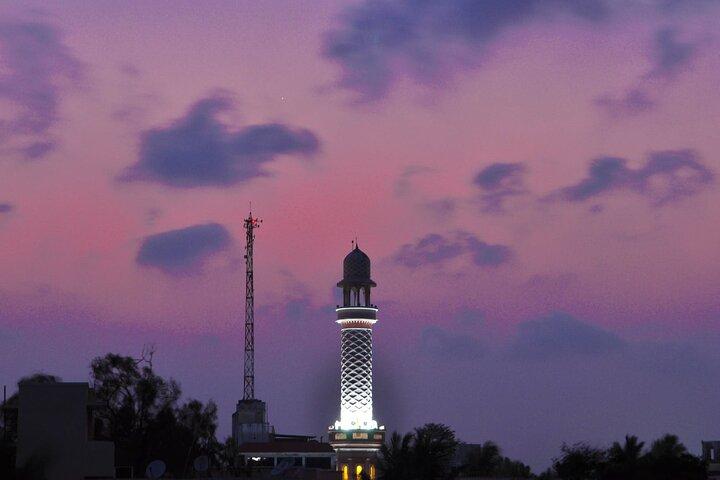 Chandigarh Walking Tour 