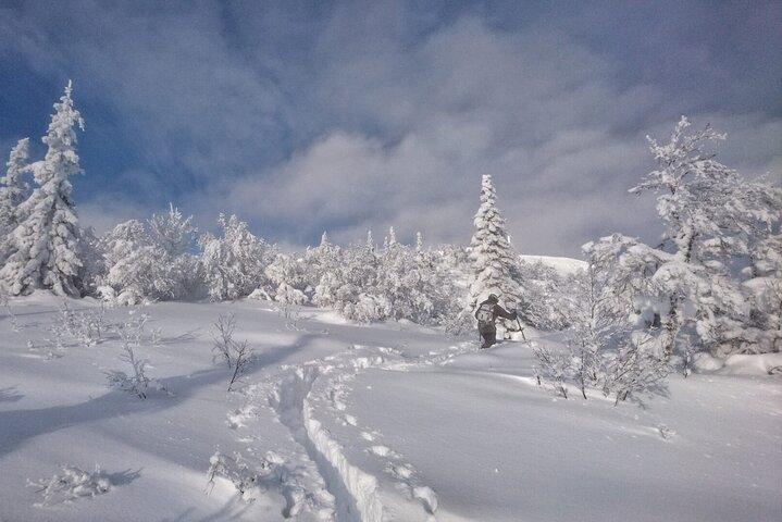 4-Hour Snowshoeing with Outdoor Lunch in Åre, Sweden