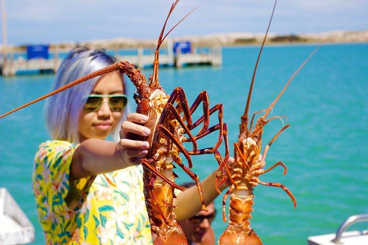 Kalbarri Rock lobster Pot Pull Tour in Kalbarri