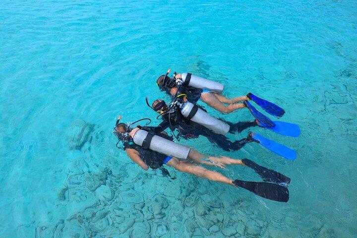 PADI Discover Scuba Dive at Coral Divers Curacao