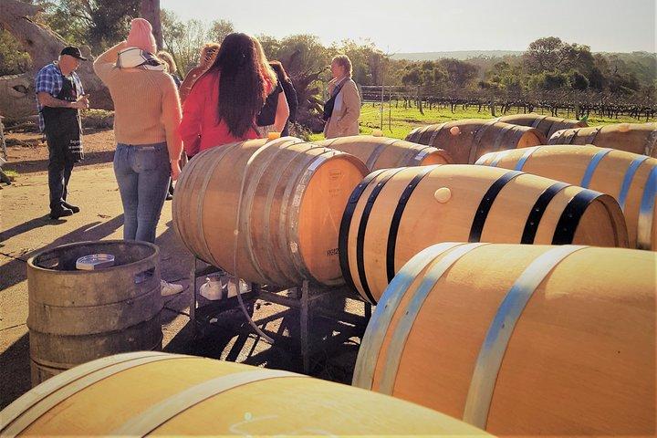 Secret Delights: Half-Day Wine, Coffee, Artisan and Forest Tour