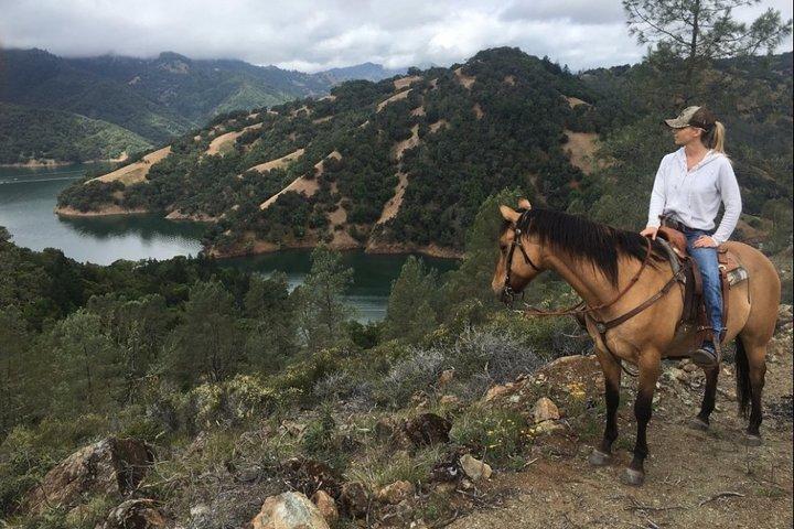 Sonoma Horseback-Riding Tour