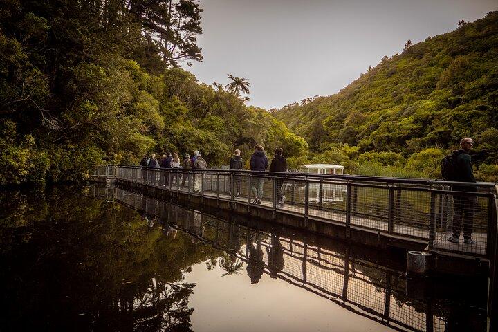 Zealandia - Twilight Guided Eco Wildlife Tour