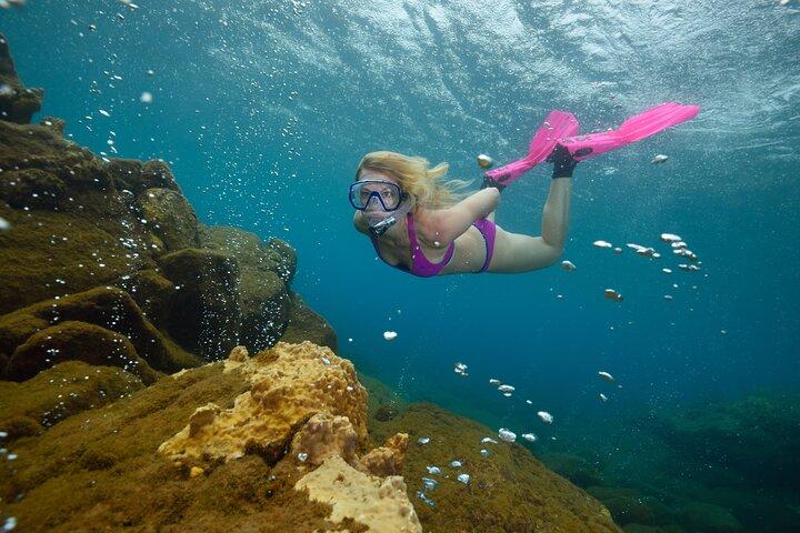 Champagne Reef Snorkeling Tour at Champagne Beach in Dominica 