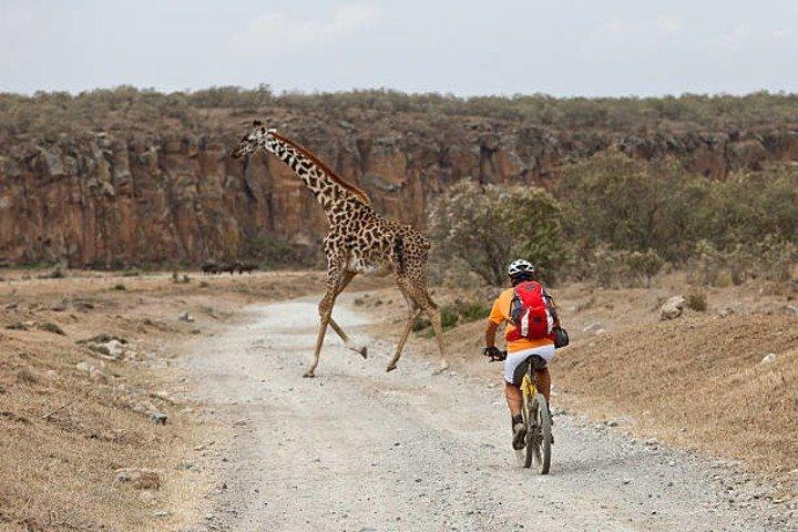 Hell's Gate National Park Private Bike Tour from Nairobi
