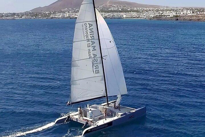 Catamaran F40 Lanzarote sailing