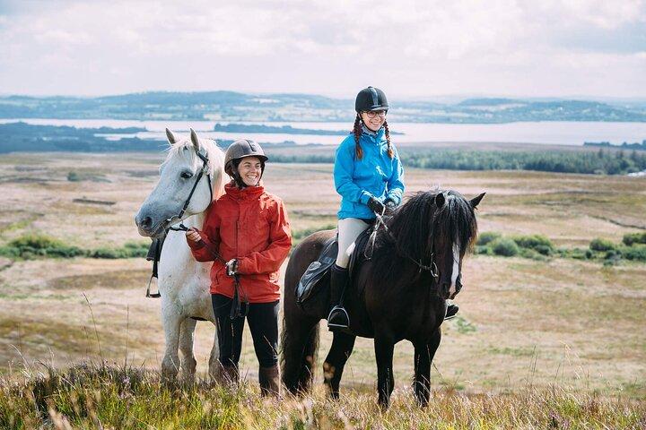 Beach & countryside horse riding outside Westport. Guided. 1 hour