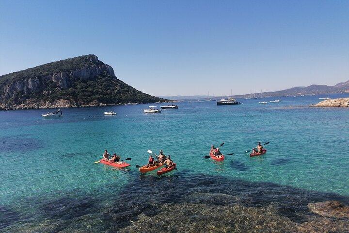 Kayak tour with aperitif and dolphins