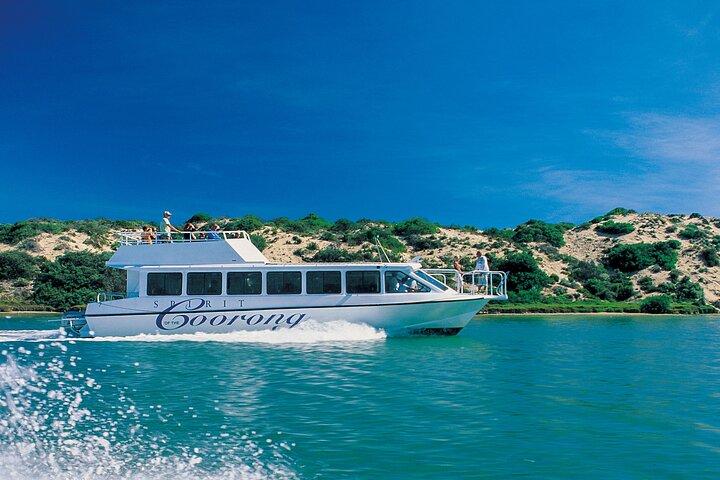 Coorong 3.5-Hour Discovery Cruise