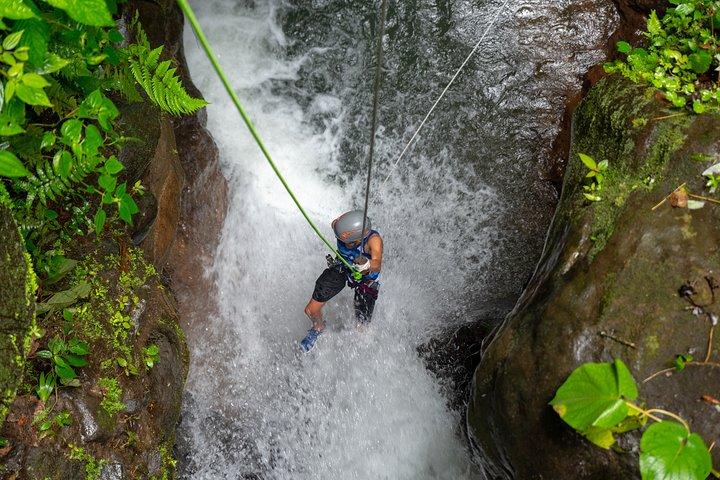 Waterfall Rappelling, Ziplining, Pool Jumping, Hiking with Lunch