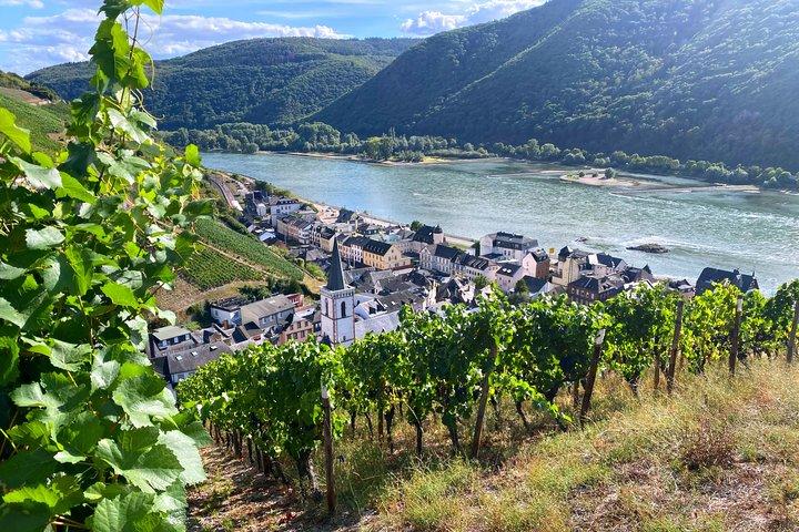 Rhine Valley Wine Tasting Tour from Frankfurt and Mainz