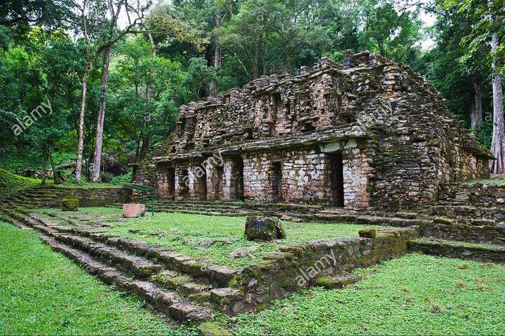 From Palenque to Bonampak - Yaxchilan Selva 1 day