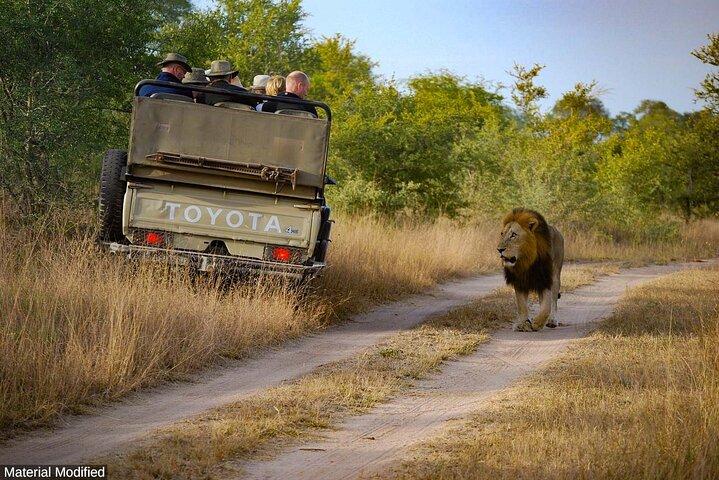South Africa: See & Experience it ALL in 12 Days, 1st Class Custom Tours