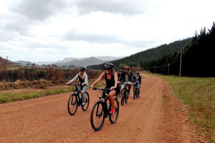 Franschhoek Half Day Winelands Cycle Tour