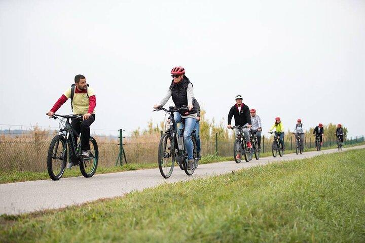 Slovenian coast Koper, Izola, Piran - Parenzana electric biking tour from Koper