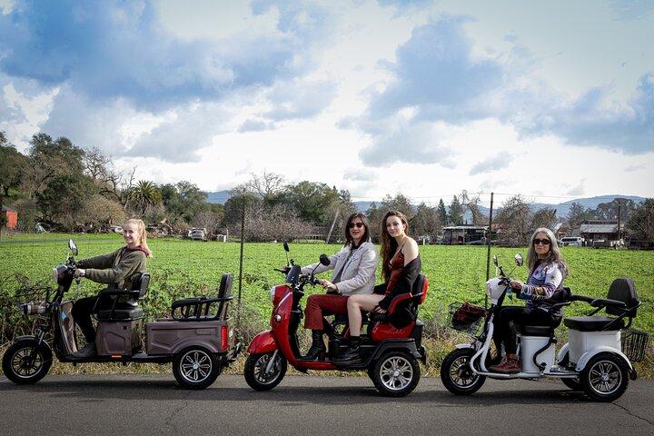 3-Hour Guided Wine Country Tour in Sonoma on Electric Trike