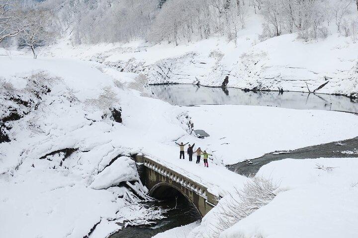  Kinshu Lake Private Snow Trekking Activity