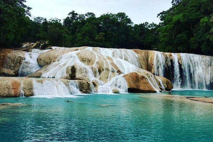 Full Day at Agua Azul Waterfalls, Misol Ha and Palenque
