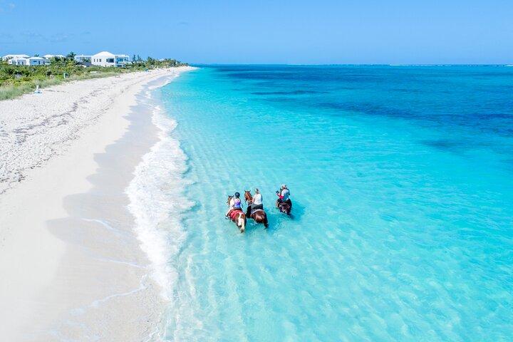 Private Horseback Ride and Swim in Turks and Caicos Islands 
