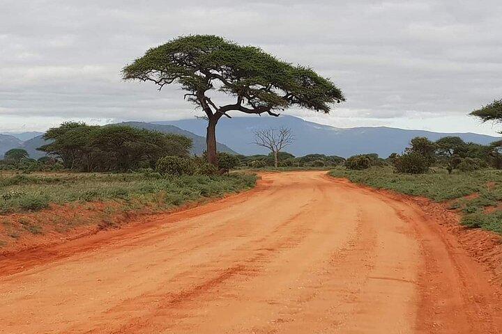 2-Day Private Safari in Tsavo from Diani Beach with Pick Up