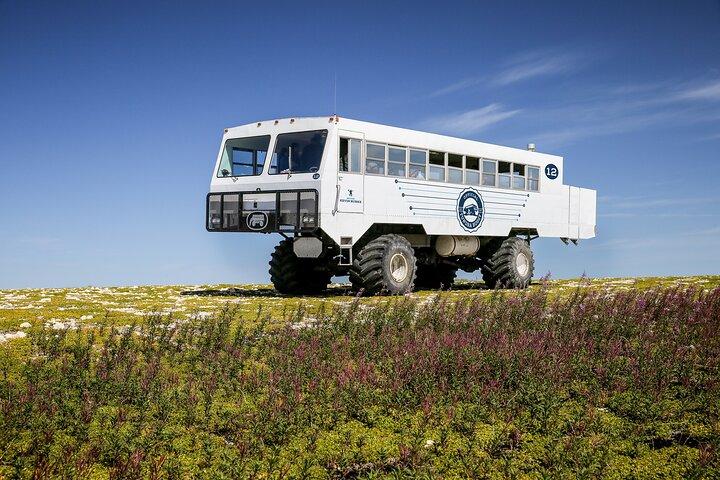 Tundra Buggy Summer Day Tours