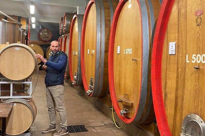 Full day Barolo&Barbaresco Wine Tour from Torino with a local winemaker