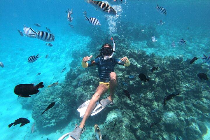 Half-Day Snorkeling Tour from Papeete