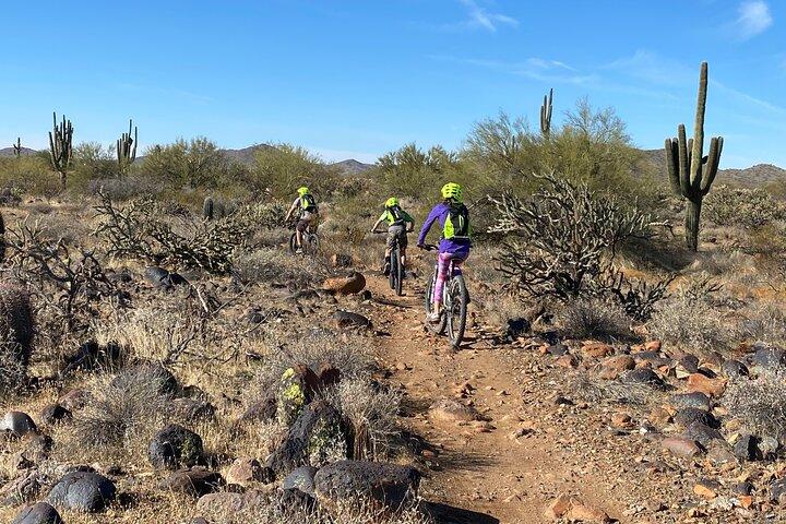 2 Hour Sonoran Desert Private Guided Mountain Bike Tour