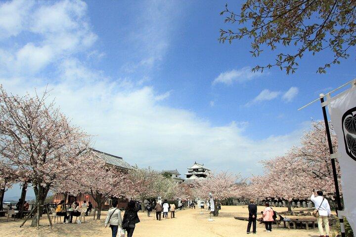 [Town walk] Stroll around Matsuyama Castle and enjoy local shopping