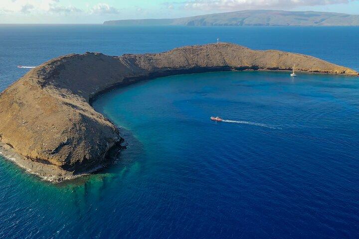 4-HR Molokini Crater + Turtle Town Snorkeling Experience