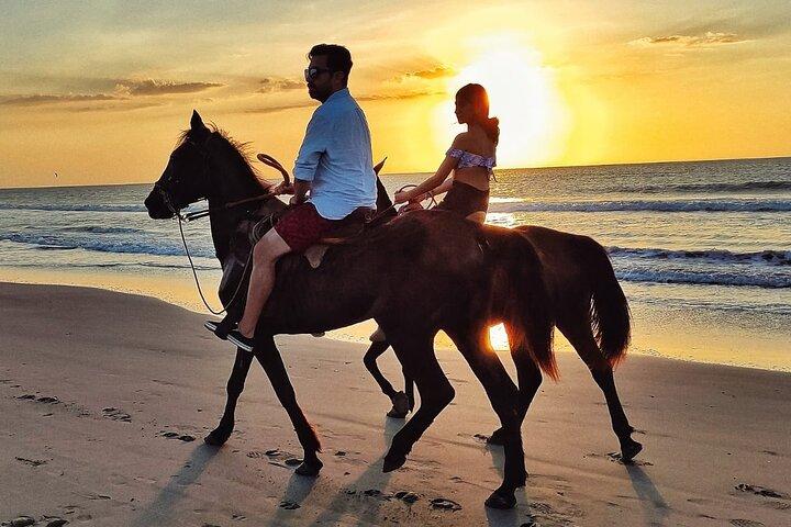 Horseback Riding Tour through the Beaches of Cartagena de Indias