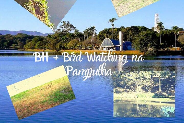 BH + Bird Watching 01 day