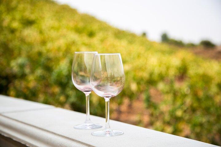 The Temecula Wine Tour from Orange County