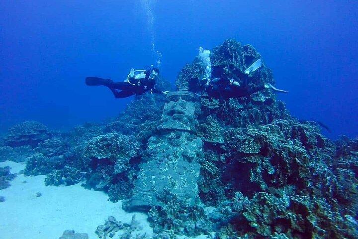 Shared Scuba Diving Experience on Easter Island one dive only