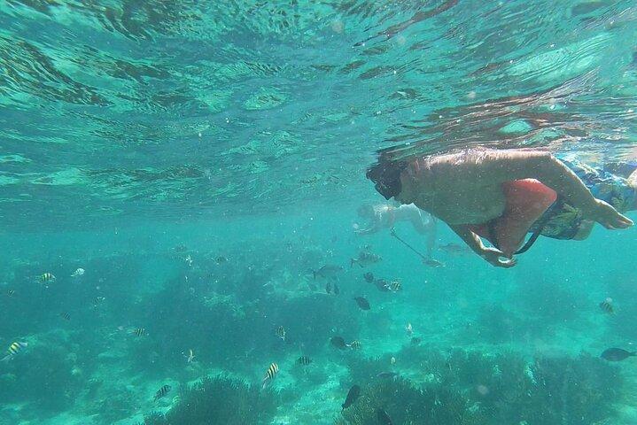 Isla Mujeres Snorkeling Adventure at the Underwater Museum