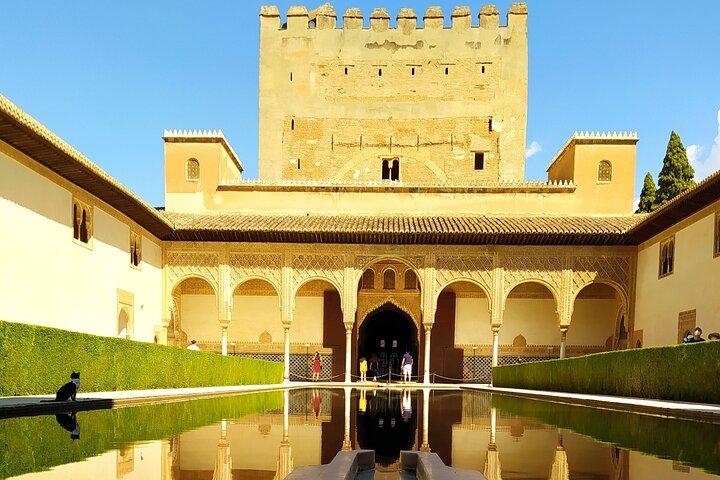 Complete Alhambra with tour guide - Avoid individual queues