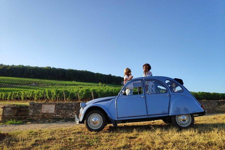 The Grands Crus Route in a classic French car + wine tasting - 3h