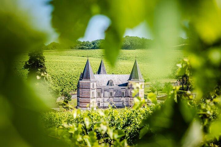  150-minute VIP visit of a vineyard in Segonzac with cocktail break